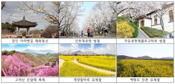 인천관광공사가 추천하는 봄꽃 명소. 관광공사 포토