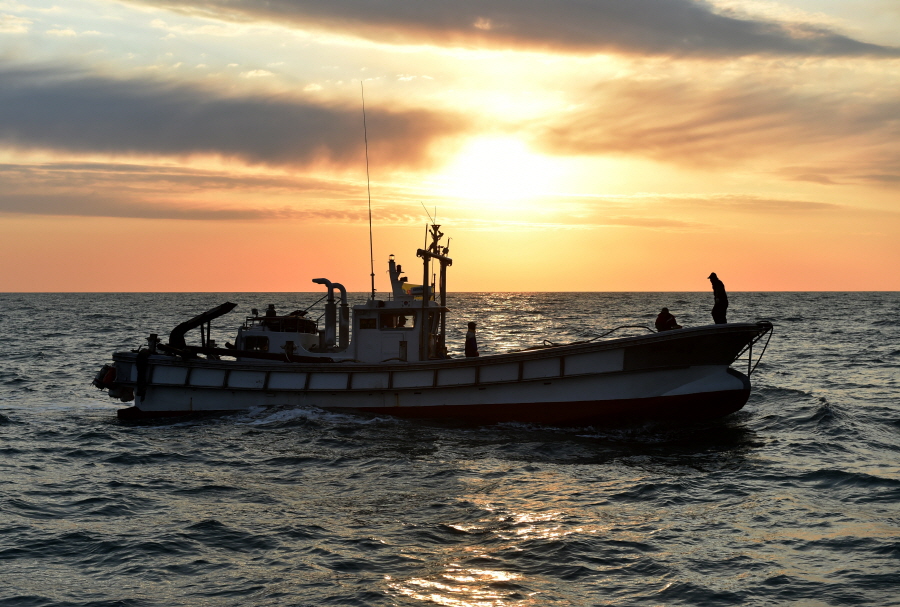 인천 연평도 어민들의 조업. 인천뉴스