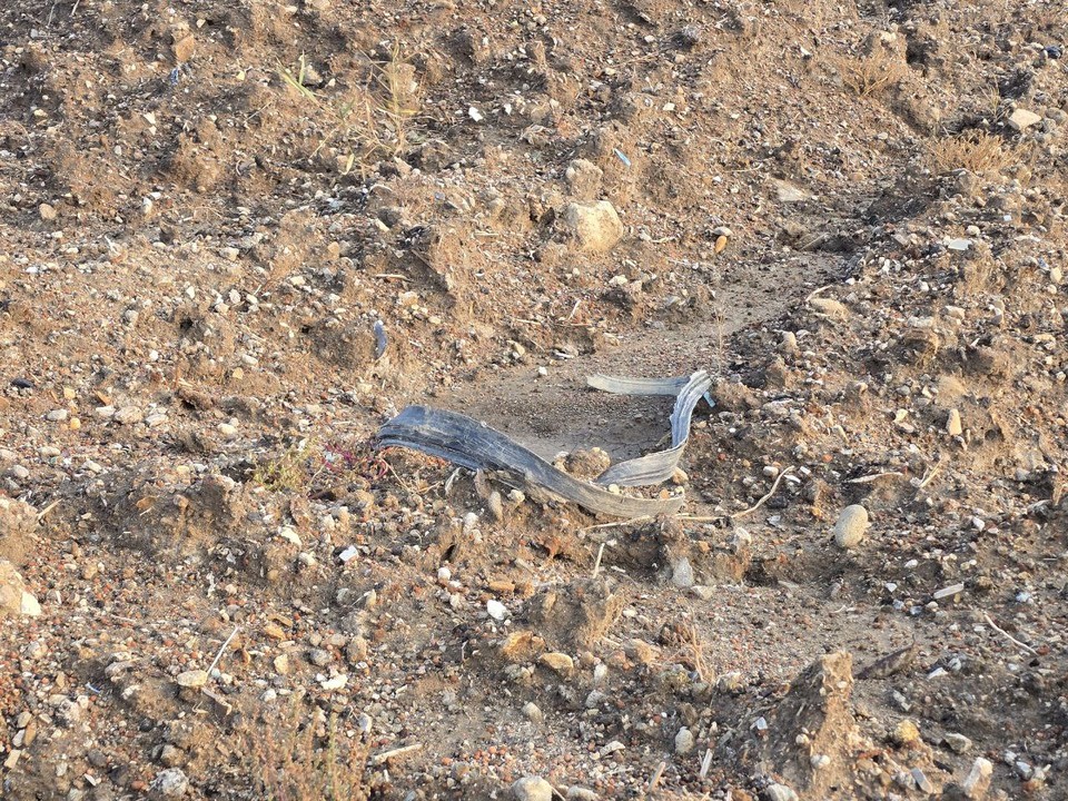 인천 강화군 화도면 여차리 천연기념물(저어새 서식지) 인근 농지에 오염토를 불법 매립한 부지 일원. 인천뉴스 포토.