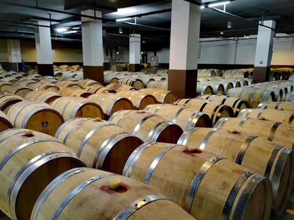 구정장원 지하 와인 숙성실의 오크통에서는 2년 간의 숙성 과정이 진행된다. China Media Group 국제재선 포토