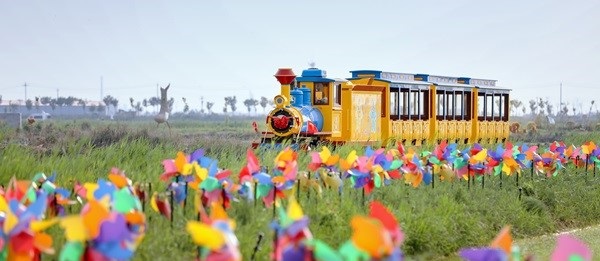 컨리구 유채꽃 단지와 꼬마열차. 인천뉴스
