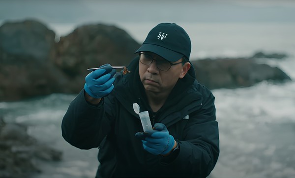 Seaweed Stories 영상 중 일부 화면(김장균 교수). 인천대 포토