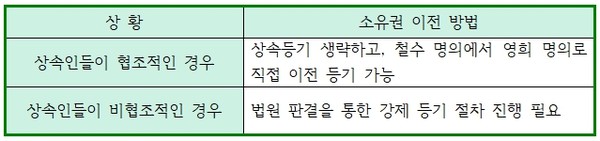 자료 및 이미지 출처 = 전하윤 대표