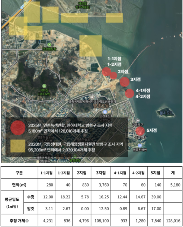 영종도 동측 서식지 조사 결과. 인천녹색연합･인하대 해양동물학연구실･네이버