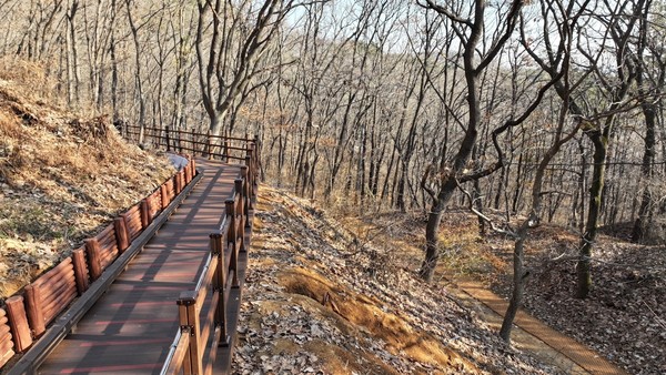 원적산 무장애나눔길. 서구 포토