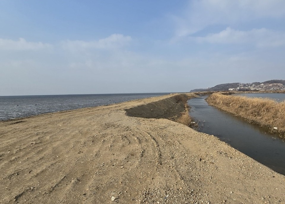 인천 강화군 화도면 여차리 162-8번지 제방에 약1km 길이에 순환토사로 성토된 모습. 인천뉴스 포토. 