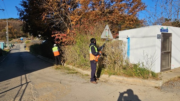 자원 봉사자들이 시설 외관 전지작업을 하고 있다. 공항공사 포토
