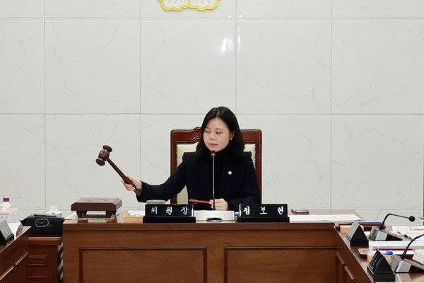 연수구의회 자치도시위원장 정보현 의원. 구의회 포토