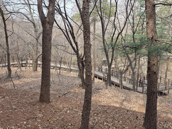 인천대공원 무장애숲실 정상부분에서 바라 본 데크길 전경. 인천뉴스 포토.